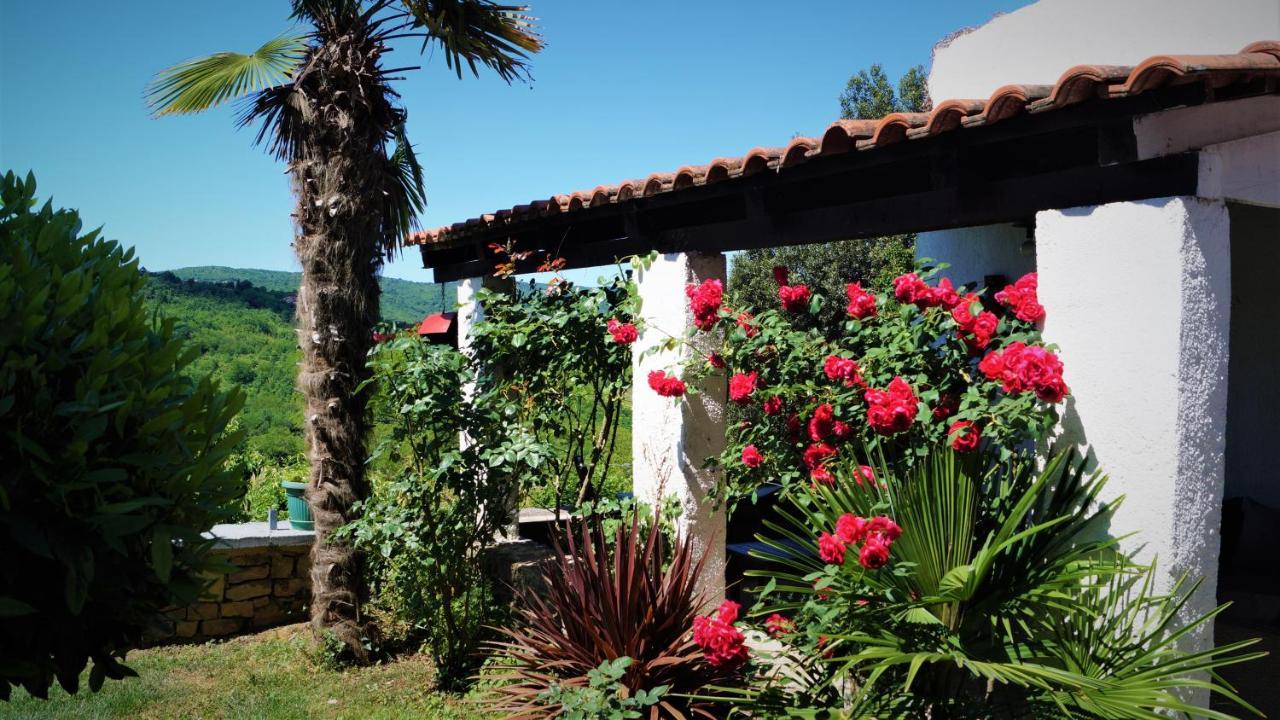 Apartments Garden Motovun Extérieur photo