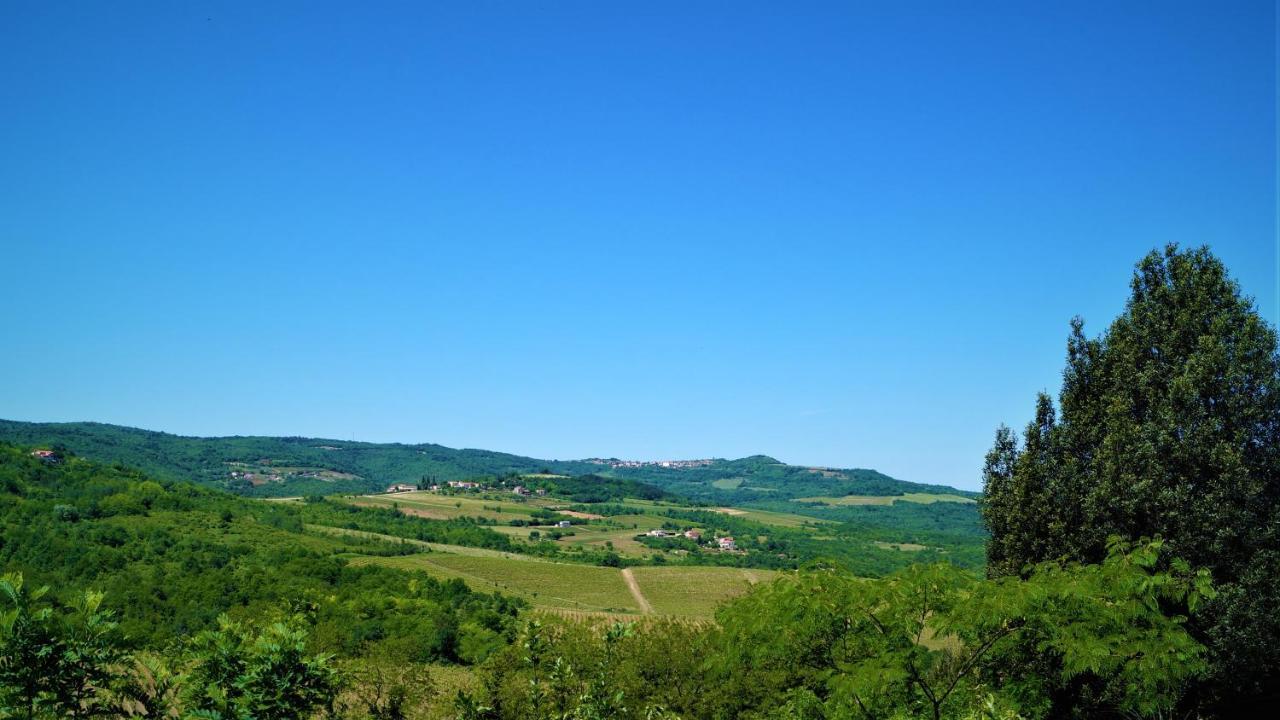 Apartments Garden Motovun Extérieur photo