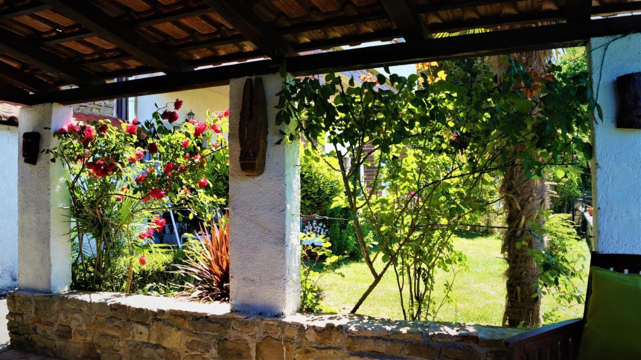 Apartments Garden Motovun Extérieur photo